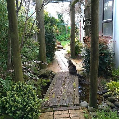 Secret Cottage Waitara Εξωτερικό φωτογραφία