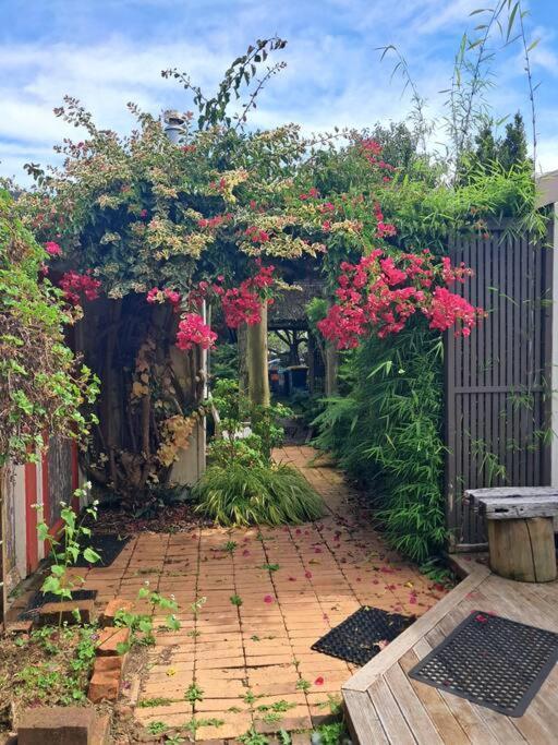 Secret Cottage Waitara Εξωτερικό φωτογραφία