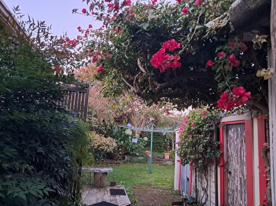 Secret Cottage Waitara Εξωτερικό φωτογραφία