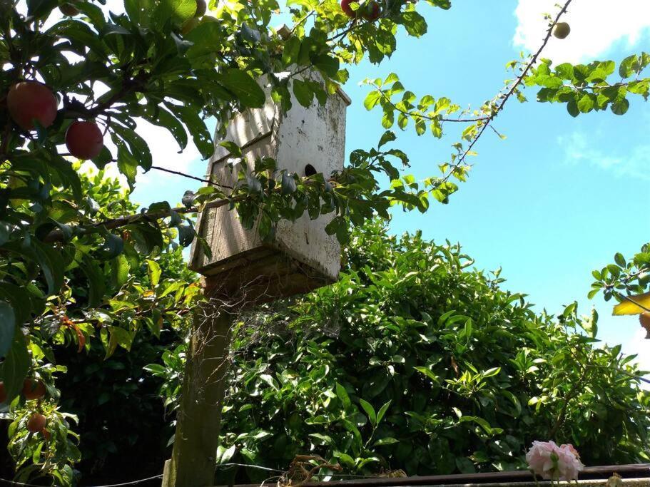 Secret Cottage Waitara Εξωτερικό φωτογραφία