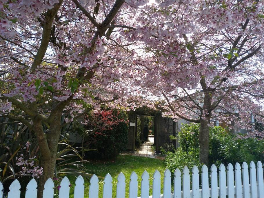 Secret Cottage Waitara Εξωτερικό φωτογραφία