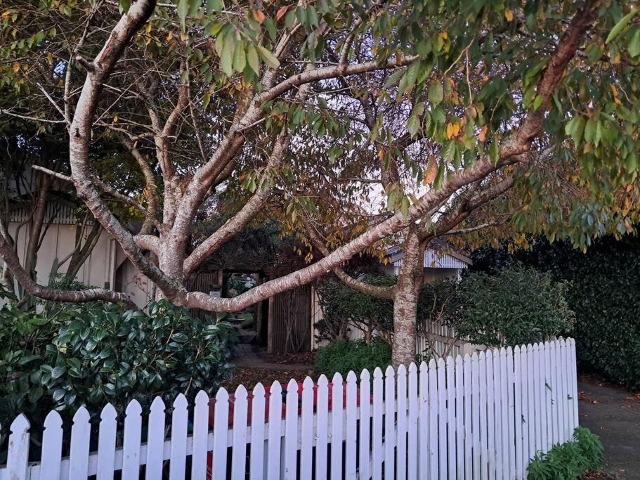 Secret Cottage Waitara Εξωτερικό φωτογραφία